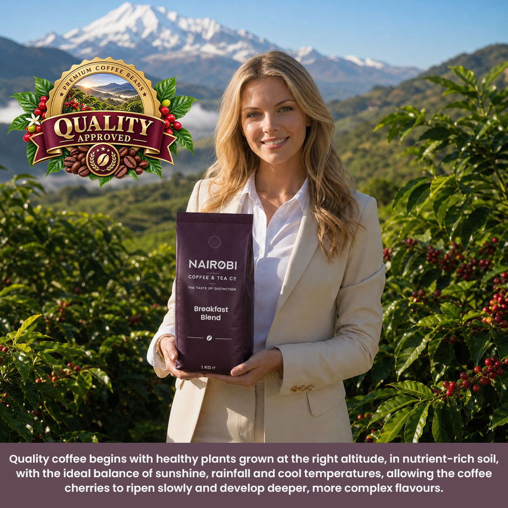 Breakfast Blend - 1kg Coffee Beans