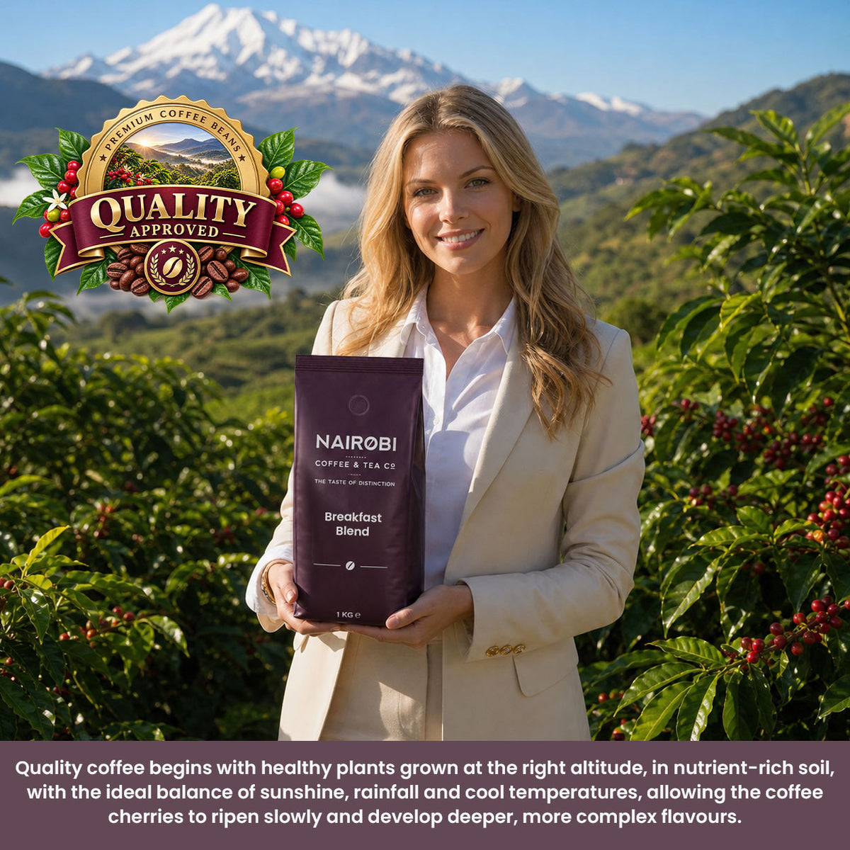 Breakfast Blend purchase coffee beans ground coffee